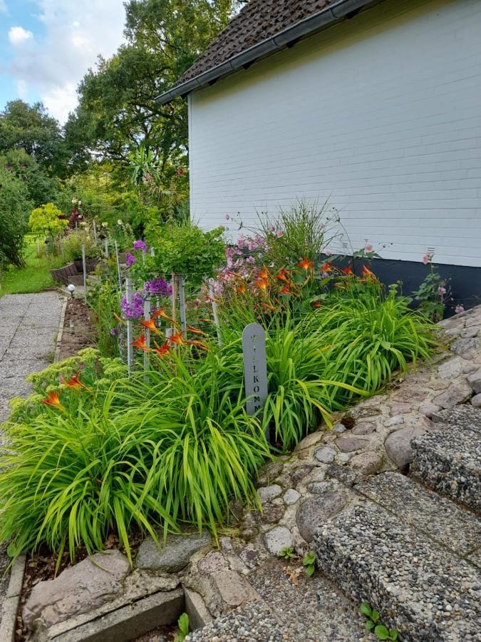 Haus Wald Und Wiese Wohnung Wiese Ehndorf Exterior photo
